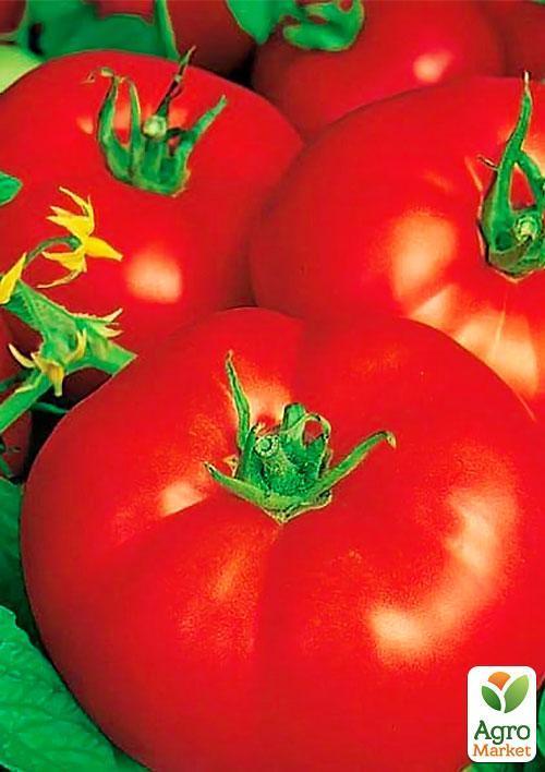 Томат "Волгоградський 323" (Зипер) ТМ "Весна" 0,5г - фото 4