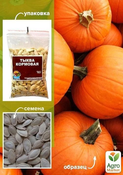 Гарбуз "Кормовий" ТМ "Весна" 100г