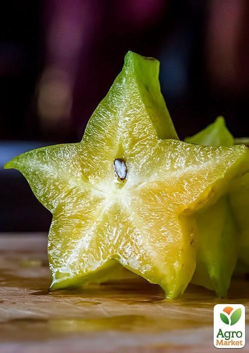 Карамболь "Звездный час" ТМ "Vesna Exclusive"3шт