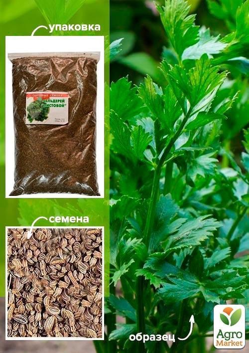 Сельдерей листовой ТМ "Весна" 500г