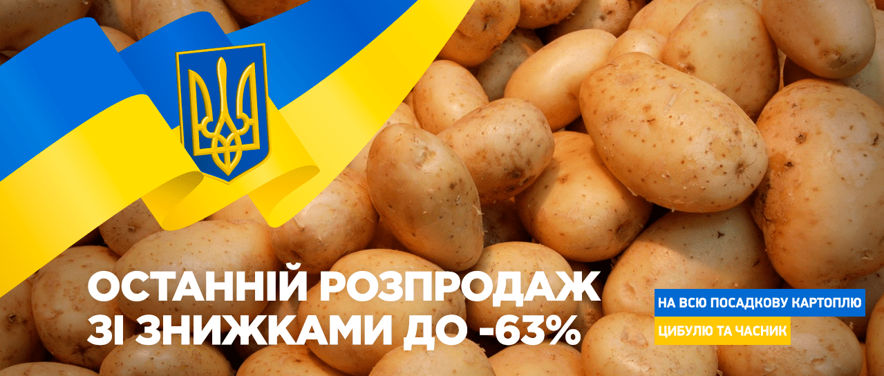 Цибуля, картопля та часник. Фінальний розпродаж до -63%