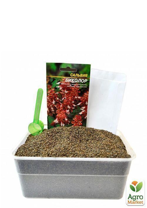 На вагу Сальвія "Биколор" ТМ "Весна" ціна за 2г - фото 3