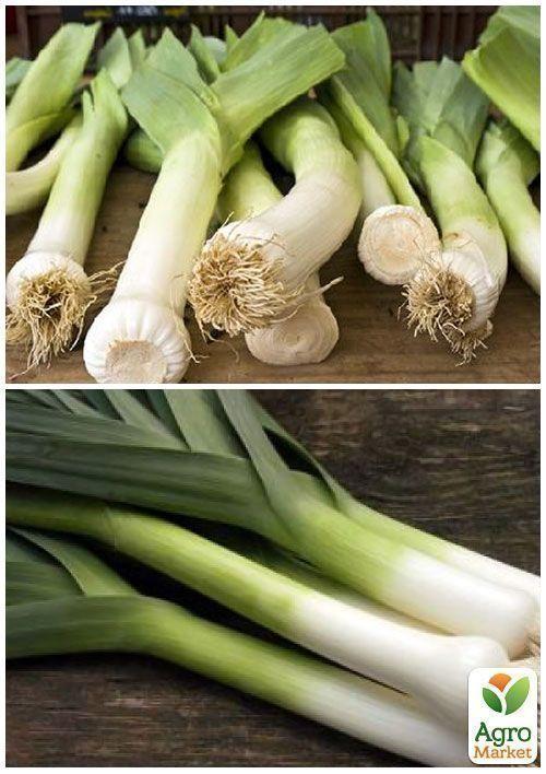 На развес Лук "Порей" ТМ "Весна" цена за 2г - фото 3