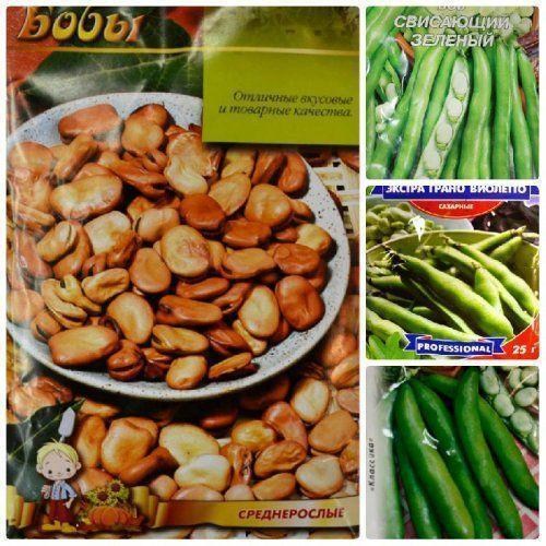 Комплект насіння бобів "Містер Боб" 5уп