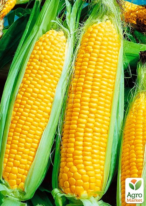 На вагу Кукурудза "Спокуса" ТМ "Весна" ціна за 40г