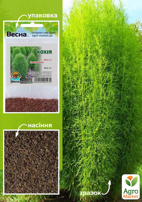 Кохия (Зипер) ТМ "Весна" 1г