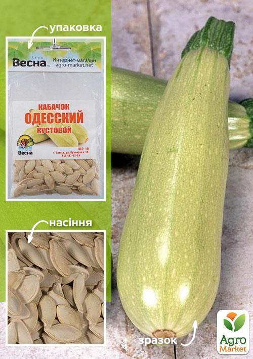 Кабачок "Одеський кущовий" (Зипер) ТМ "Весна" 5г