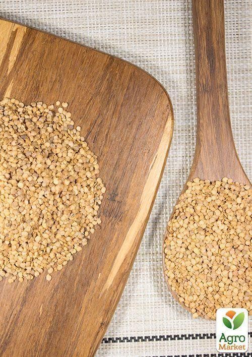 На вагу Баклажан "Фіолетовий довгий" ТМ "Весна" ціна за 2г - фото 5