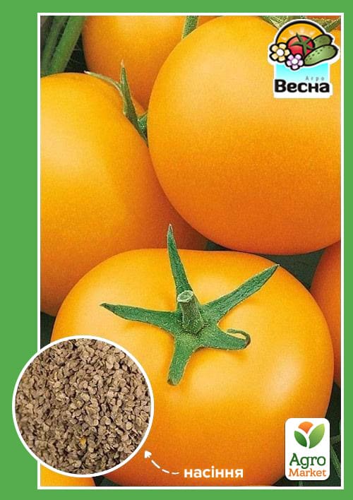 Томат "Дружба" ТМ "Весна" 0.1г
