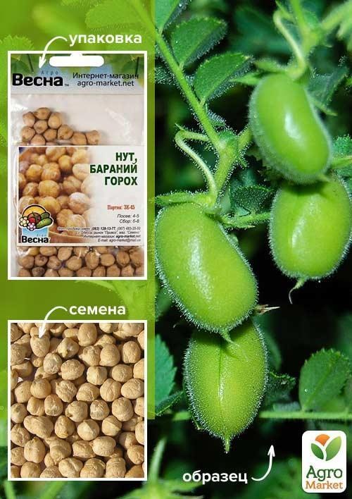 Нут (баранячий горох) (зипер) ТМ "Весна" 30г