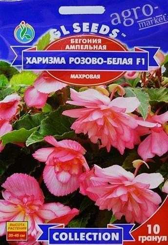 Бегонія ампельна "Харизма рожево-біла F1" ТМ "GL Seeds" 10шт