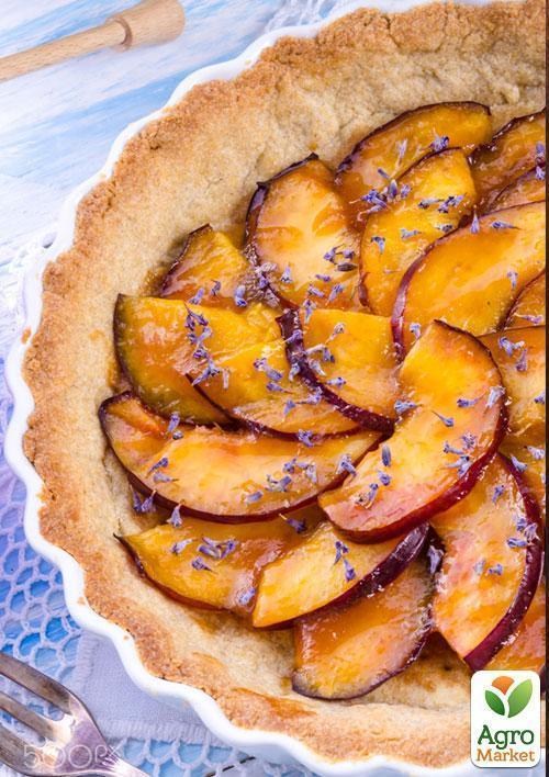 Нектарин "Старк Делишес" (лысый персик, летний сорт, средний срок созревания) - фото 2