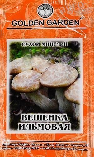 Сухой мицелий "Вешенка ильмовая" ТМ "Golden Garden" 10г