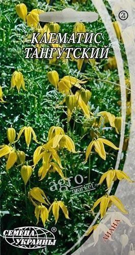 Клематис "Тангутский" ТМ "Семена Украины" 0.1г
