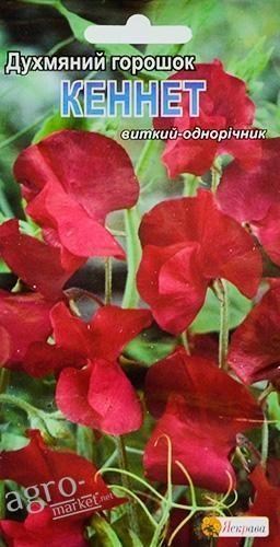 Душистый горошек "Кеннет" ТМ "Яскрава" 1г