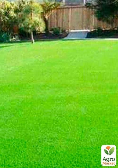 Газонна травосуміш "Світлолюбний" ТМ "Сімейний сад" 800г - фото 3