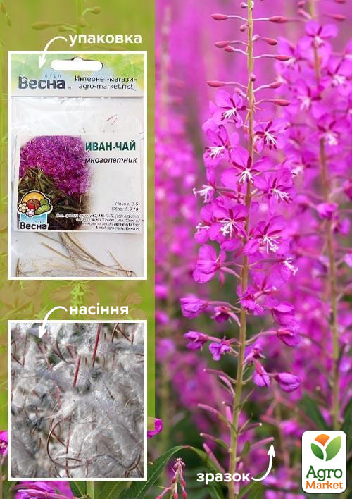 Иван-чай (кипрей) (Зипер) ТМ "Весна" 4стручка (500 семян)