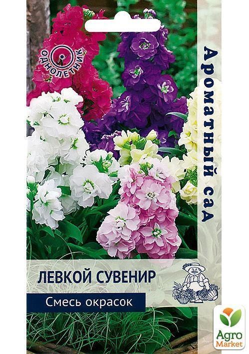 Левкой "Сувенір" суміш ТМ "Пошук" 10шт