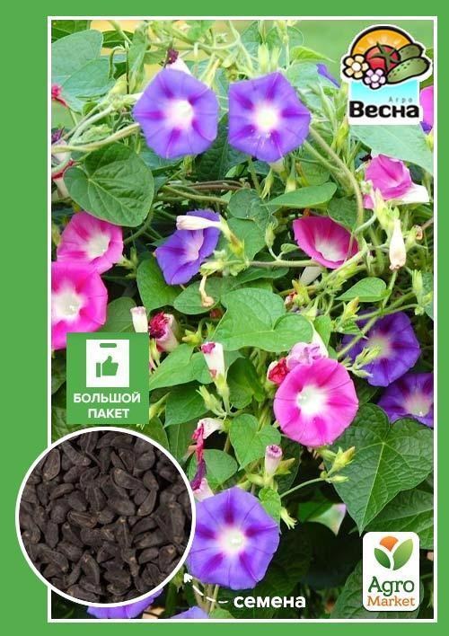 Ипомея "Смесь" (Большой пакет) ТМ "Весна" 0,8г