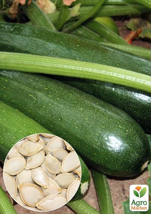 На развес Кабачок "Аэронавт" ТМ "Весна" цена за 8г