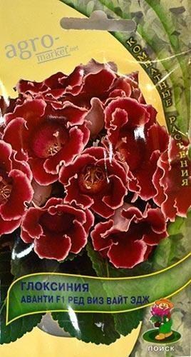 Глоксинія "Аванті F1 Ред Віз Вайт Едж" ТМ "Пошук" 5шт