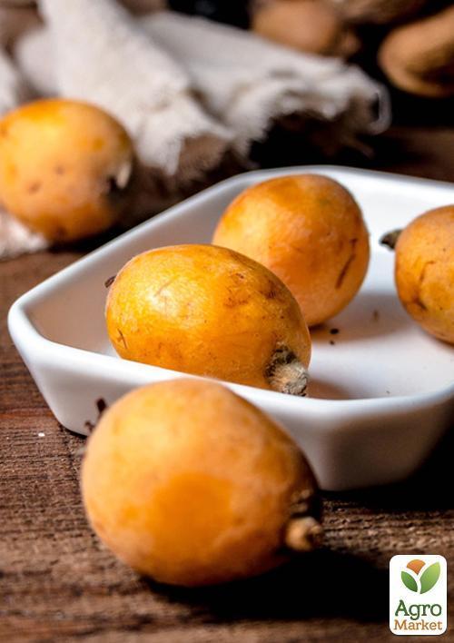 Мушмула "Японська" (літній сорт) - фото 4