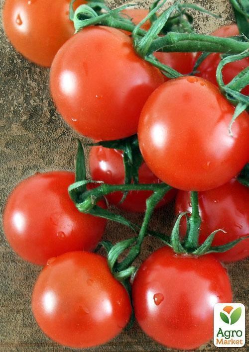 Томат "Крепкий орешек" ТМ "Vesna Select" 0,2г - фото 2