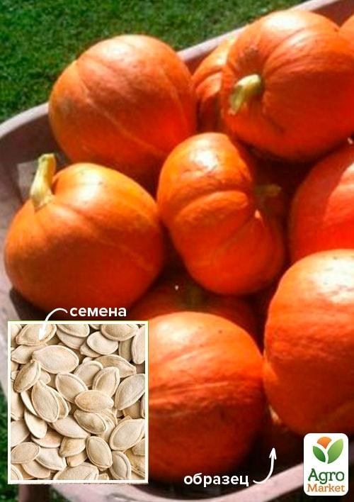 Тыква "Французский деликатес" ТМ "Весна" 100г