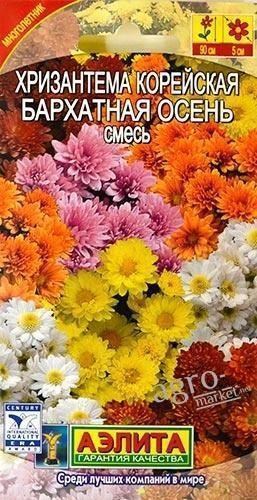 Хризантема корейська "Оксамитова осінь" суміш ТМ "АЕЛІТА" 0.02г
