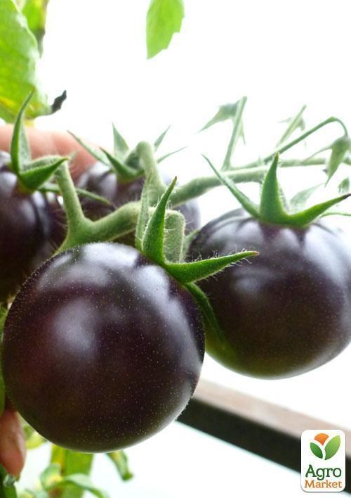 Томат-чері чорно-червоний "Смурфс" ТМ "Vesna Exclusive" 5шт - фото 2