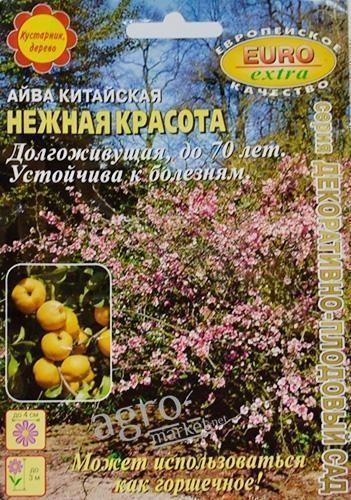 Айва китайська "Ніжна краса" ТМ "Аеліта" 5шт