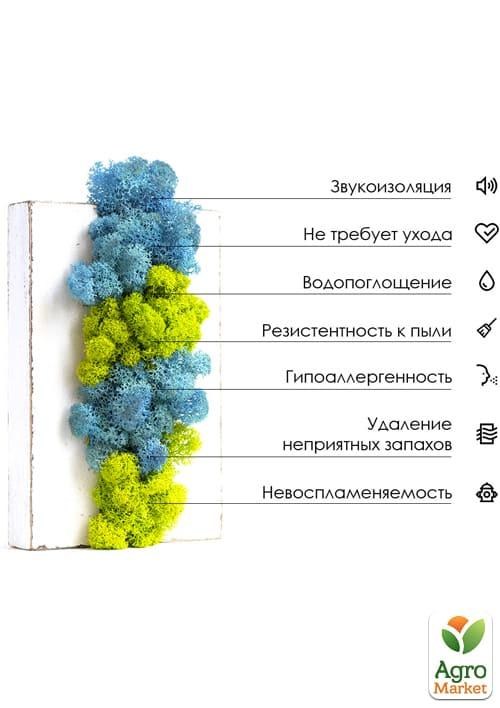 Стабилизированный мох Ягель "Лайм" 150г
