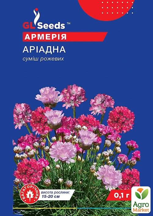 Армерія "Аріадна" ТМ "GL Seeds" 0.1г