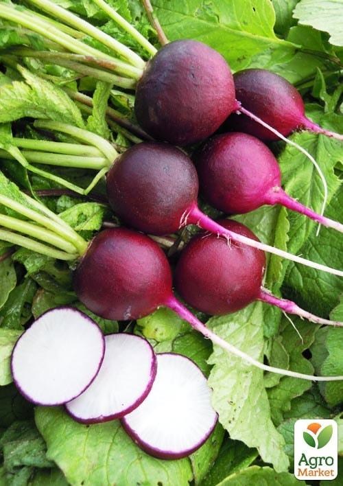 Редис "Малага" (в банке) ТМ "Весна Органик" 5г