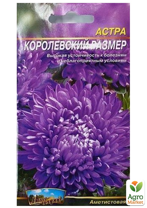 Астра "Королевский размер аметистовая" ТМ "Весна" 0.2г
