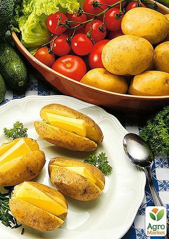 Насіннєвий рання картопля "Таурас" (на варіння, 1 репродукція) 3 кг