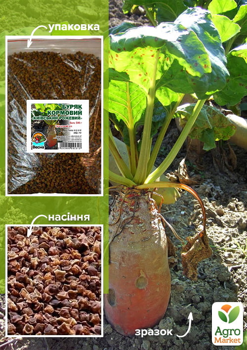 Буряк кормовий "Київський Рожевий" ТМ "Весна" 500г