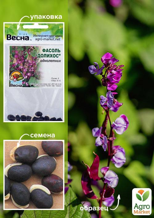 Декоративна квасоля "Доліхос" (Зипер) ТМ "Весна" 5шт - фото 4
