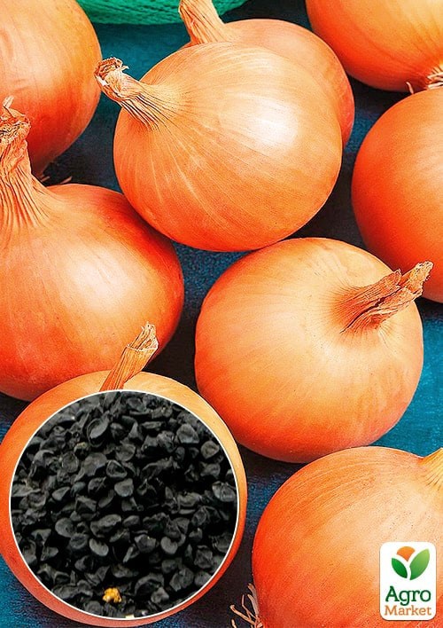 На вагу Цибуля "Галичанка" ТМ "Весна" ціна за 5г