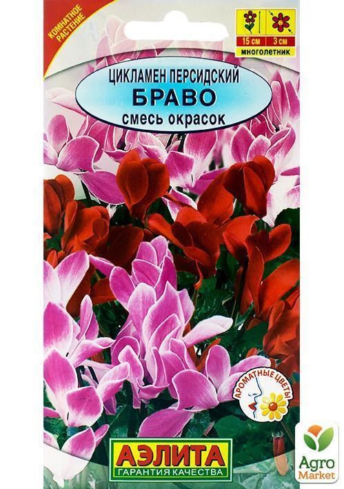 Цикламен перський "Браво" суміш забарвлень ТМ "Аеліта" 3шт