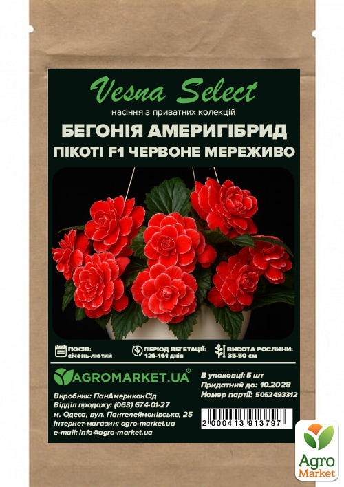 Бегония Америгибрид пикоти F1 "Красное кружево" ТМ "Vesna Select" 5шт - фото 2