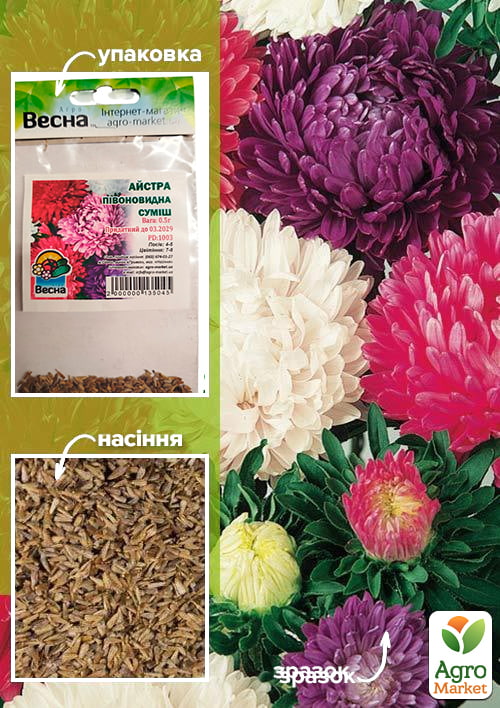 Айстра "Півоновидна суміш" (Зипер) ТМ "Весна" 0,5г