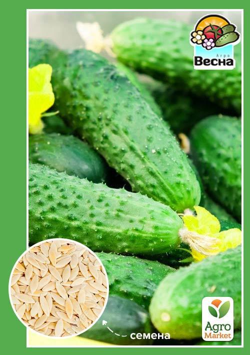 Огурец "Чистые пруды F1" ТМ "Весна" 0.25г