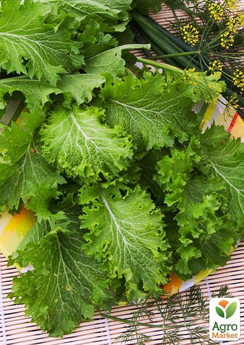 Горчица "Салатная" (в банке) ТМ "Весна Органик" 5г