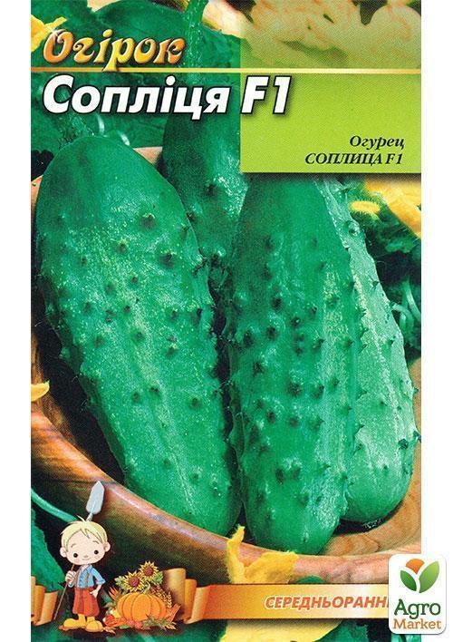 Огурец "Соплица F1" ТМ "Весна"  0.5г - фото 2