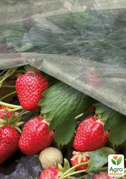Чорне мульчувальне агроволокно ТМ "Agreen" Довжина 5м, Ширина 1.6м, Щільність 50 - фото 4