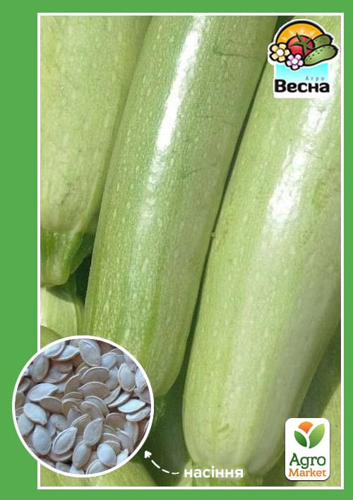 Кабачок "Білоплідний" ТМ "Весна" 2г