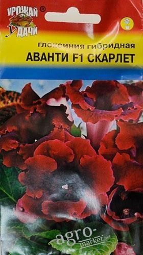 Глоксинія "Аванті F1 Скарлет" ТМ "Урожай у дачі" 3шт