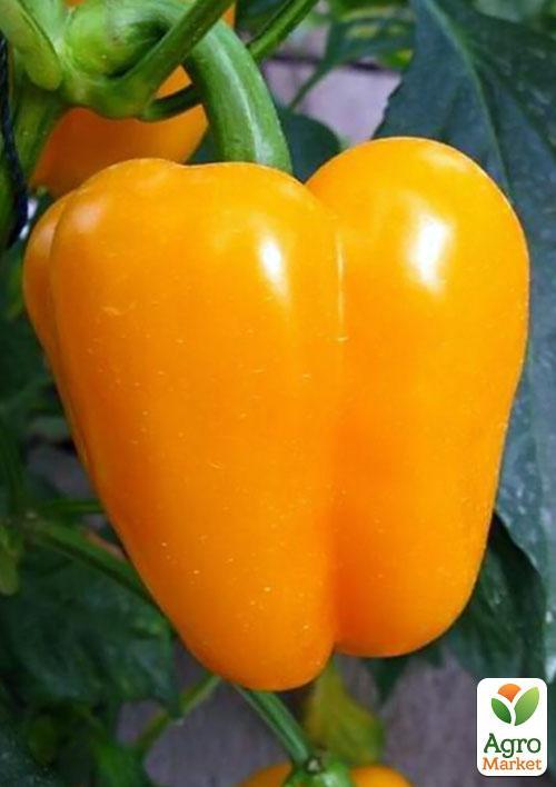 Перец "Желтый буйвол"ТМ "Vesna Select" 20шт - фото 3