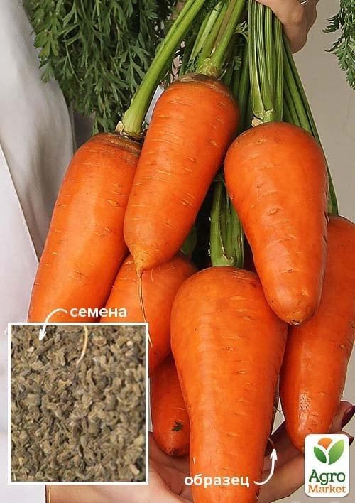 Морковь "Шантане Ред" ТМ "Весна" 100г